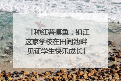 种红薯摸鱼，镇江这家学校在田间池畔见证学生快乐成长