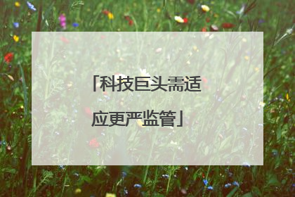 科技巨头需适应更严监管