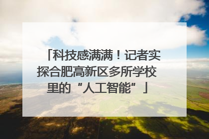 科技感满满！记者实探合肥高新区多所学校里的“人工智能”