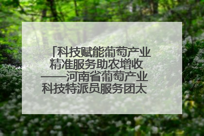 科技赋能葡萄产业 精准服务助农增收——河南省葡萄产业科技特派员服务团太康县科技服务纪实