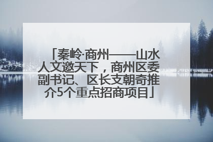 秦岭·商州——山水人文邀天下，商州区委副书记、区长支朝奇推介5个重点招商项目