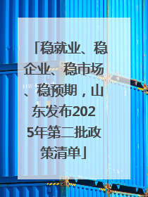 稳就业、稳企业、稳市场、稳预期，山东发布2025年第二批政策清单