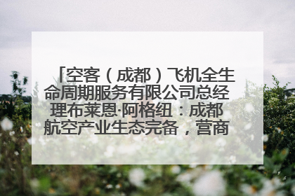空客（成都）飞机全生命周期服务有限公司总经理布莱恩·阿格纽：成都航空产业生态完备，营商环境优势显著