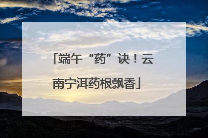 端午“药”诀！云南宁洱药根飘香