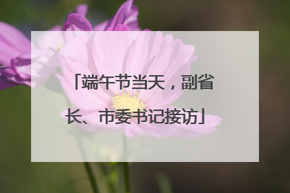 端午节当天，副省长、市委书记接访