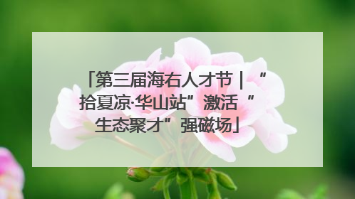 第三届海右人才节｜“拾夏凉·华山站”激活“生态聚才”强磁场