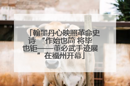 翰墨丹心映照革命史诗 “作始也简 将毕也钜——董必武手迹展”在福州开幕