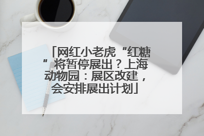 网红小老虎“红糖”将暂停展出？上海动物园：展区改建，会安排展出计划