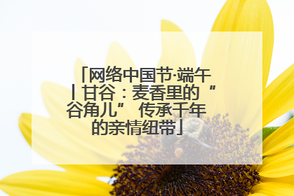 网络中国节·端午丨甘谷：麦香里的“谷角儿” 传承千年的亲情纽带