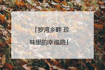 罗湾乡畔 珍味里的幸福路