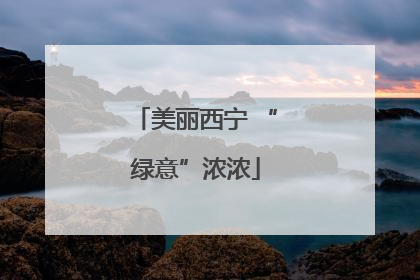 美丽西宁 “绿意”浓浓