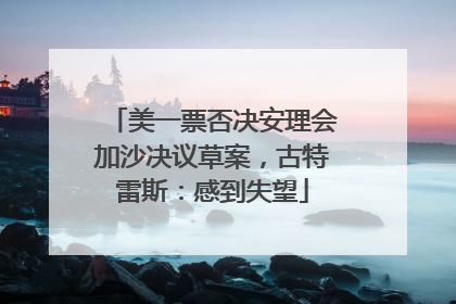 美一票否决安理会加沙决议草案，古特雷斯：感到失望