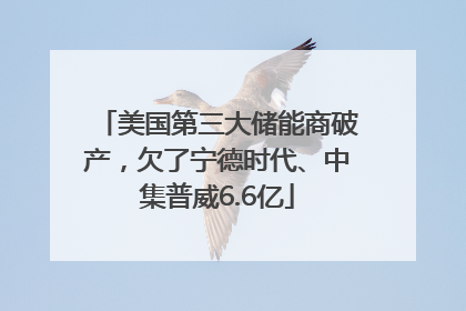 美国第三大储能商破产，欠了宁德时代、中集普威6.6亿