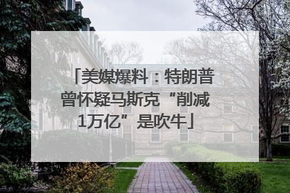 美媒爆料：特朗普曾怀疑马斯克“削减1万亿”是吹牛