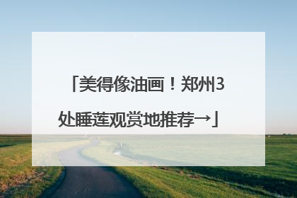 美得像油画！郑州3处睡莲观赏地推荐→
