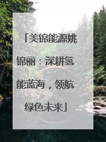 美锦能源姚锦丽：深耕氢能蓝海，领航绿色未来