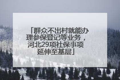群众不出村就能办理参保登记等业务，河北29项社保事项延伸至基层
