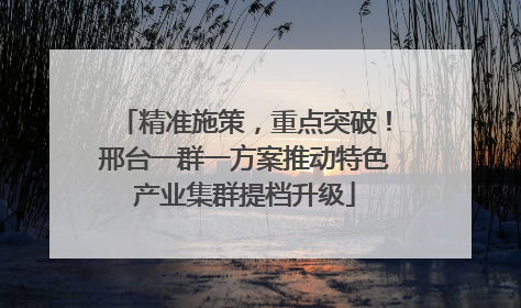 精准施策，重点突破！邢台一群一方案推动特色产业集群提档升级