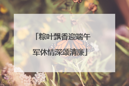 粽叶飘香迎端午 军休情深颂清廉