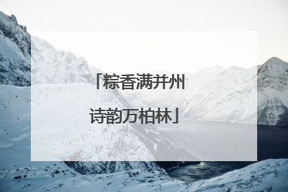 粽香满并州 诗韵万柏林