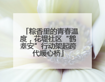 粽香里的青春温度，花堤社区“鹤耋安”行动架起跨代暖心桥