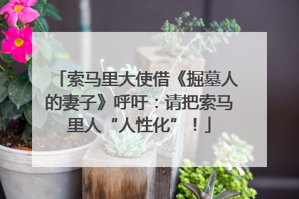 索马里大使借《掘墓人的妻子》呼吁：请把索马里人“人性化”！