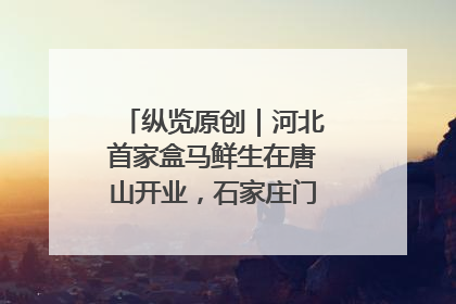 纵览原创｜河北首家盒马鲜生在唐山开业，石家庄门店预计8月开业