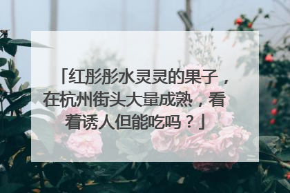 红彤彤水灵灵的果子，在杭州街头大量成熟，看着诱人但能吃吗？