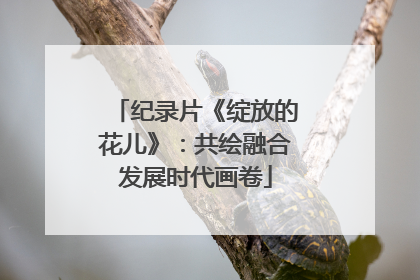 纪录片《绽放的花儿》：共绘融合发展时代画卷