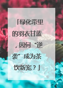 绿化带里的羽衣甘蓝，因何“逆袭”成为茶饮新宠？