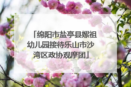 绵阳市盐亭县嫘祖幼儿园接待乐山市沙湾区政协观摩团