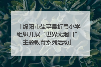 绵阳市盐亭县折弓小学组织开展“世界无烟日”主题教育系列活动
