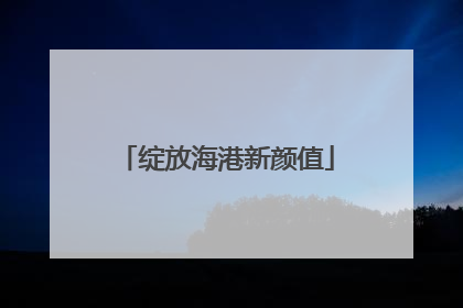 绽放海港新颜值