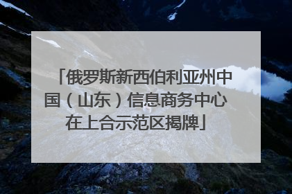 俄罗斯新西伯利亚州中国（山东）信息商务中心在上合示范区揭牌