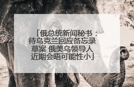 俄总统新闻秘书：待乌克兰回应备忘录草案 俄美乌领导人近期会晤可能性小
