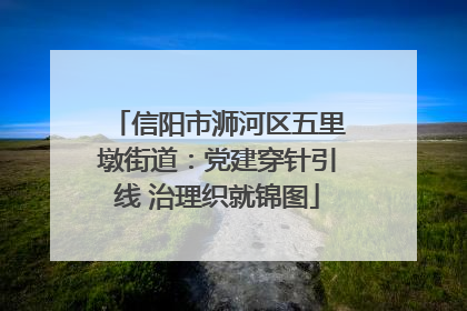 信阳市浉河区五里墩街道：党建穿针引线 治理织就锦图