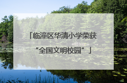 临潼区华清小学荣获“全国文明校园”