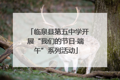 临泉县第五中学开展“我们的节日·端午”系列活动