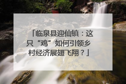 临泉县迎仙镇：这只“鸡”如何引领乡村经济展翅飞翔？