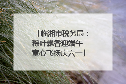 临湘市税务局：粽叶飘香迎端午 童心飞扬庆六一
