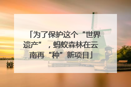为了保护这个“世界遗产”，蚂蚁森林在云南再“种”新项目