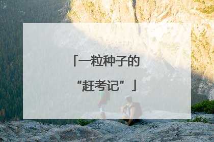 一粒种子的“赶考记”