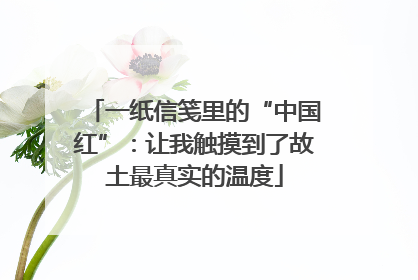 一纸信笺里的“中国红”：让我触摸到了故土最真实的温度