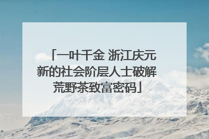 一叶千金 浙江庆元新的社会阶层人士破解荒野茶致富密码