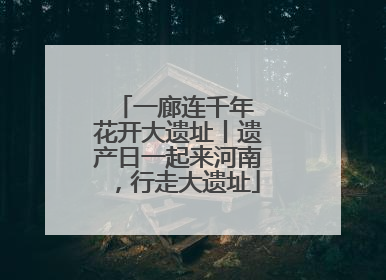 一廊连千年 花开大遗址丨遗产日一起来河南，行走大遗址
