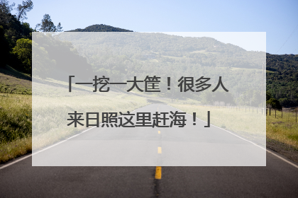 一挖一大筐！很多人来日照这里赶海！