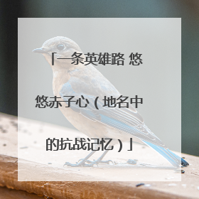 一条英雄路 悠悠赤子心（地名中的抗战记忆）