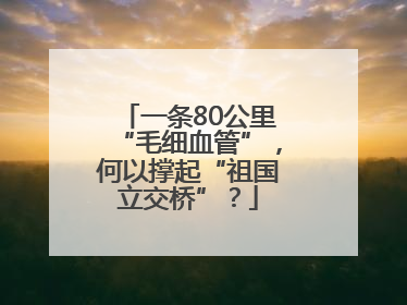 一条80公里“毛细血管”，何以撑起“祖国立交桥”？