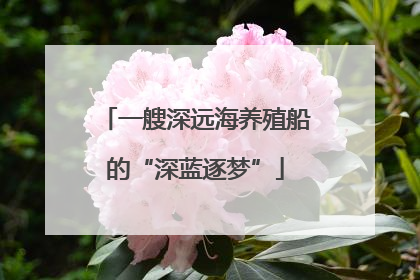 一艘深远海养殖船的“深蓝逐梦”