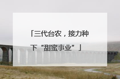 三代台农，接力种下“甜蜜事业”